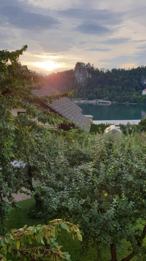 Villa Anna Bled Exteriör bild